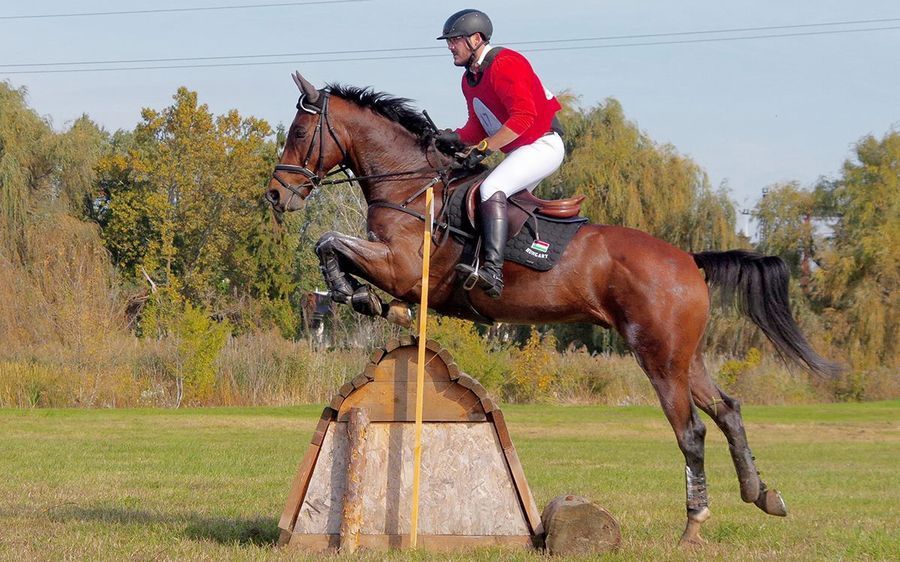 Újra a military térképen Halas