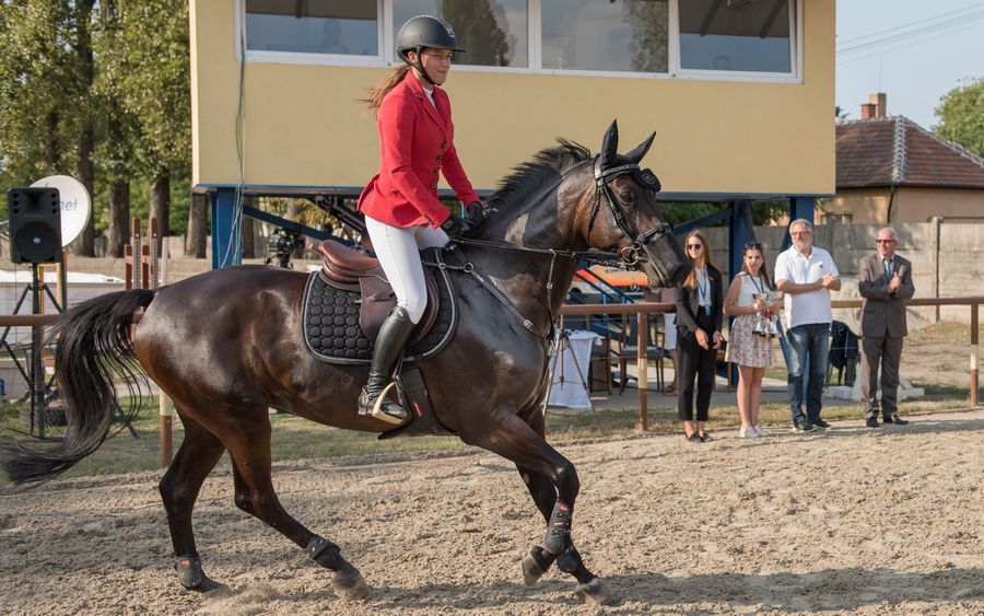 Lovas érmek Kecskemétről