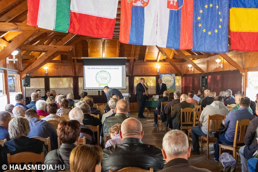 Burgonyás hétvége Halason