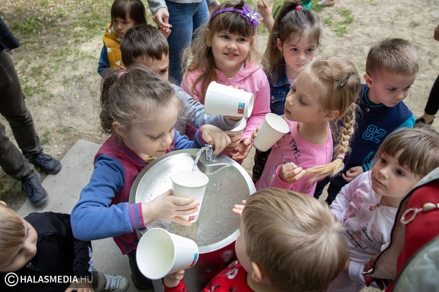 Felfrissülés a Hősök ligetében