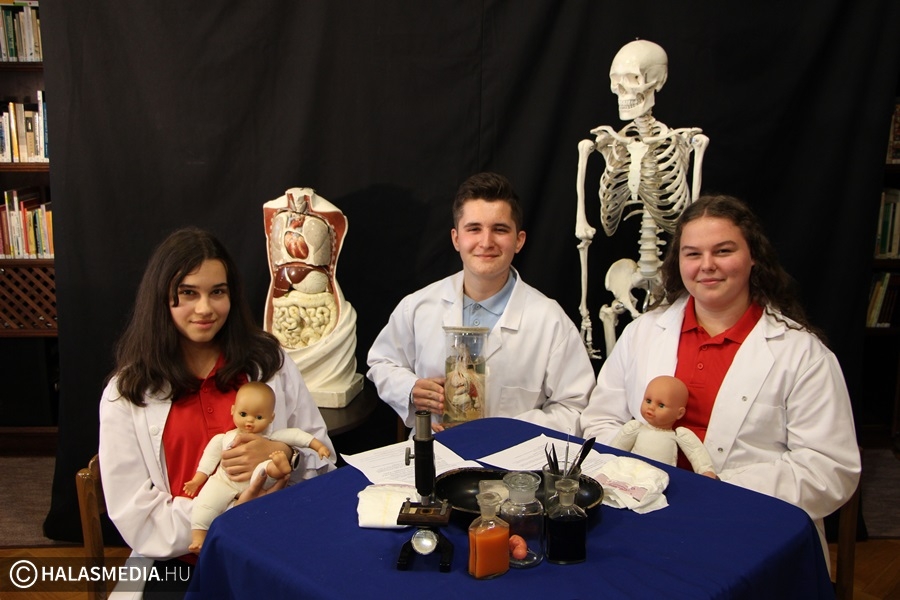 Különdíjas sziládysok