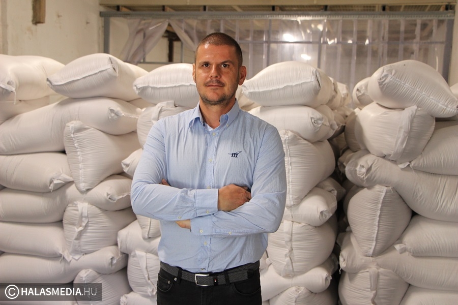 Javában zajlik a betakarítás