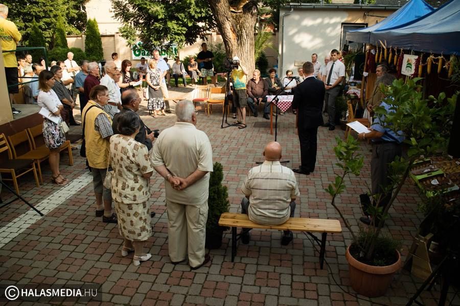 A legszebb halasi termések és konyhakertek