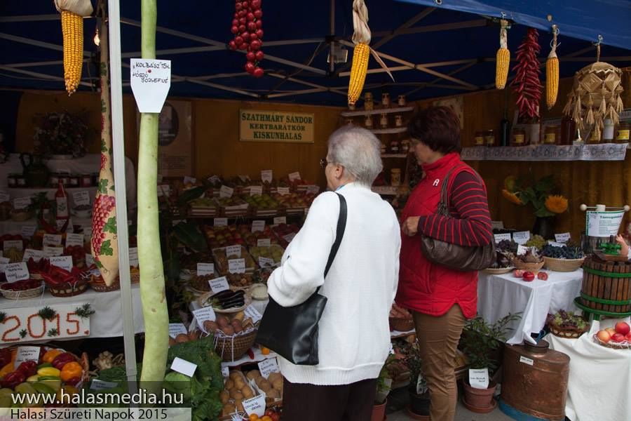 A legszebb termények mustrája jön
