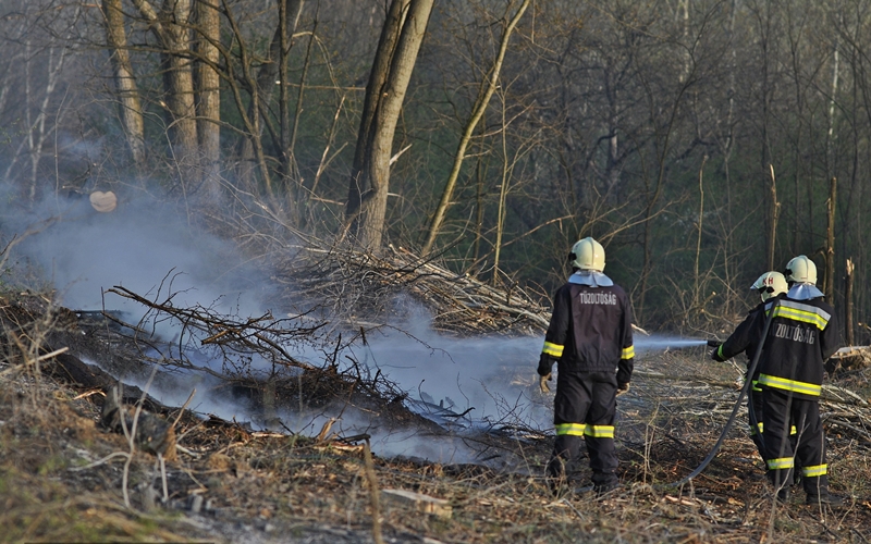 Meggyújtották, otthagyták