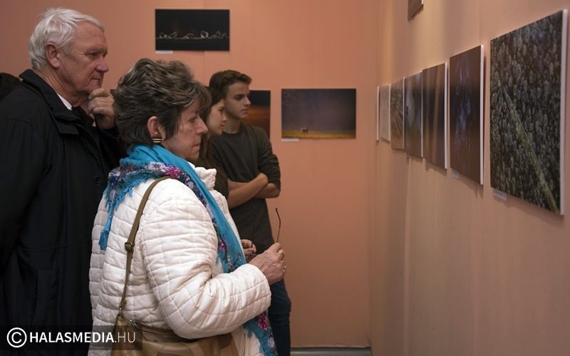 Kiskunsztságok az év fotójával