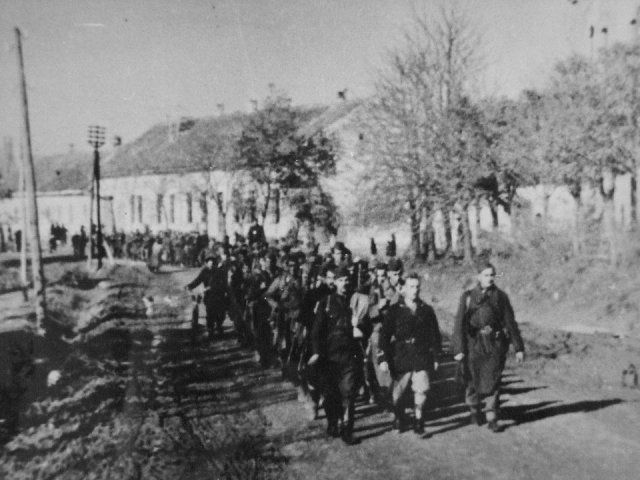 Szentmisével emlékeznek Halason is az áldozatokra