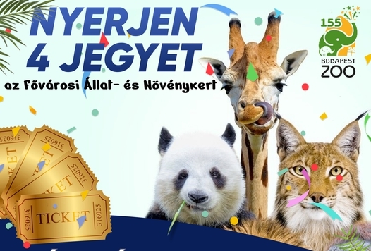 Állatkerti nyereményjáték – halasiak is vannak a károsultak között