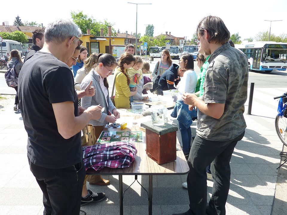 Állatok testközelből