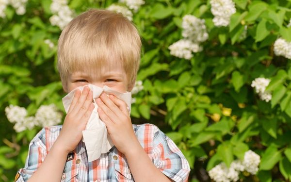 Küszöbön az allergia