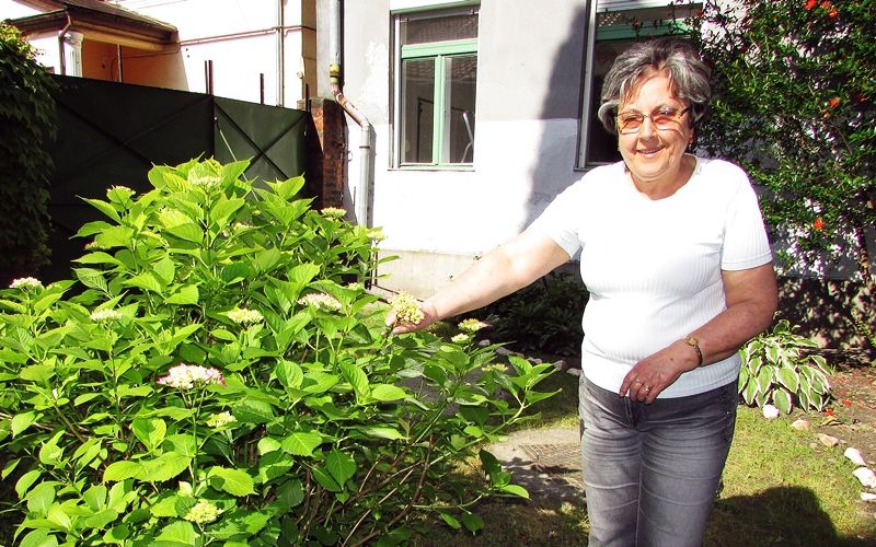 Zöldítés összefogással