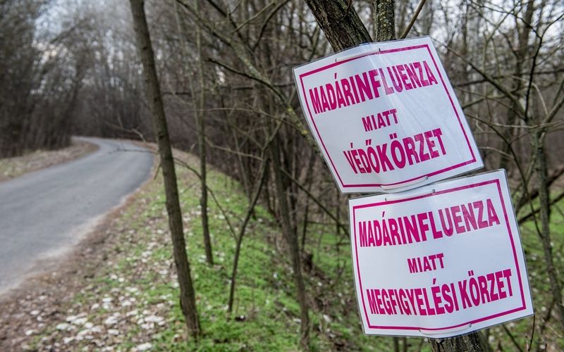 Szigorú zárlat, három megyében