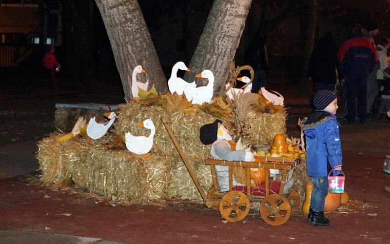 Márton nap és táblaavatás a Bóbitában