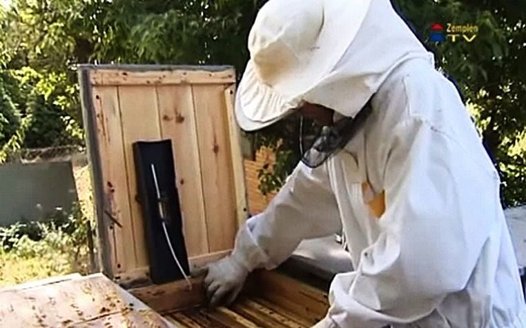 Ismét zárlat alatt a méhkaptárak