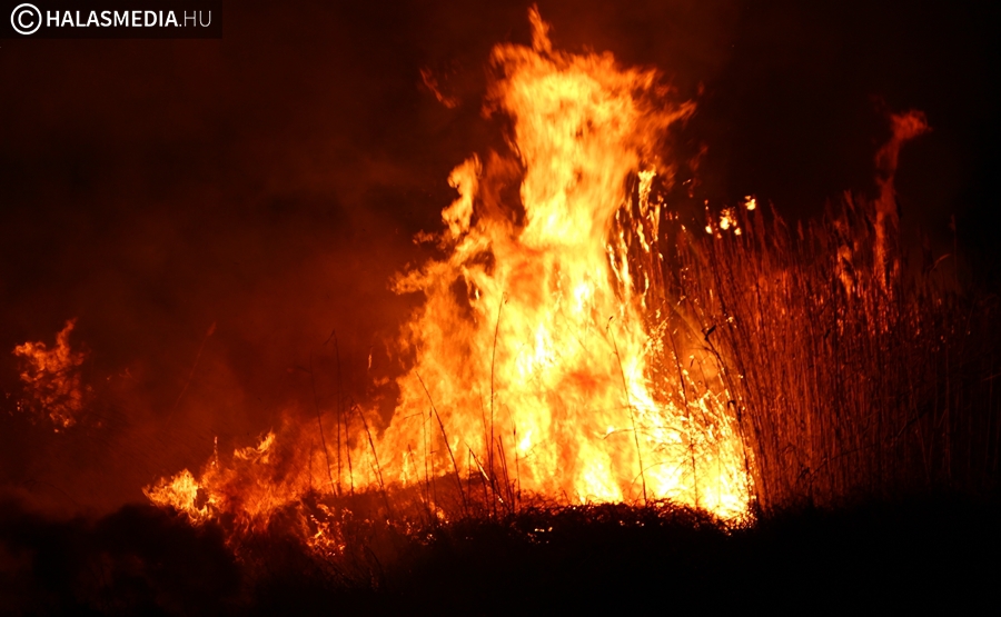 Lángolt a vásártéri nádas