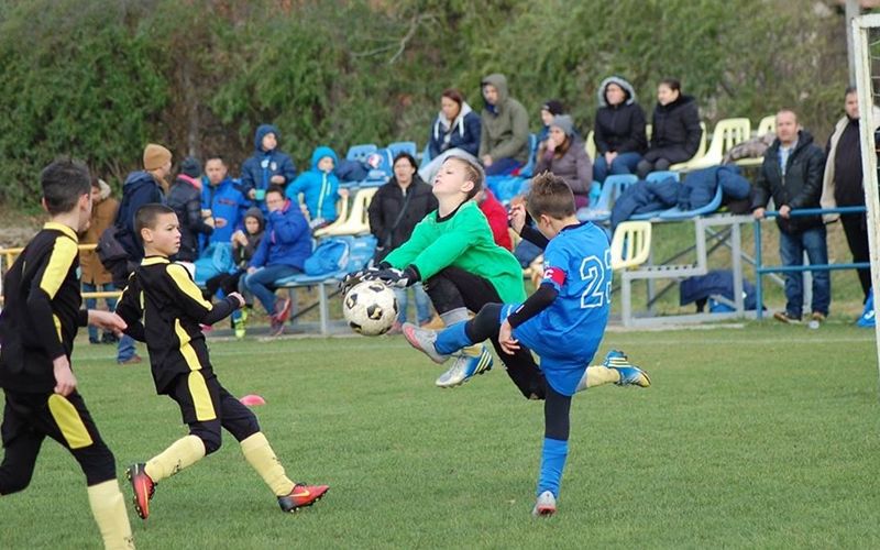 Díjnyertes halasi fotó a Kölyökligában