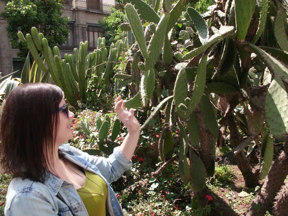 Egy halasi lány kalandjai Mexikóban (1. rész)