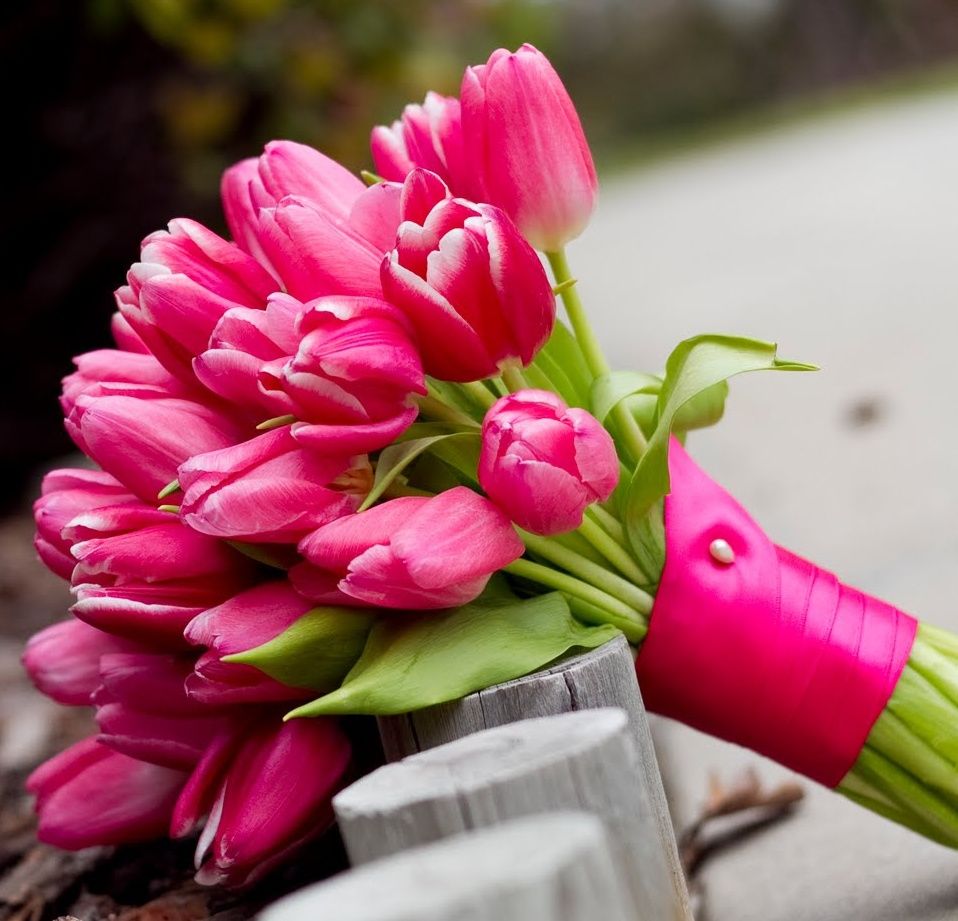 (►) Boldog anyák napját!