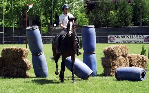 Nemzetközi rendőrlovas verseny lesz