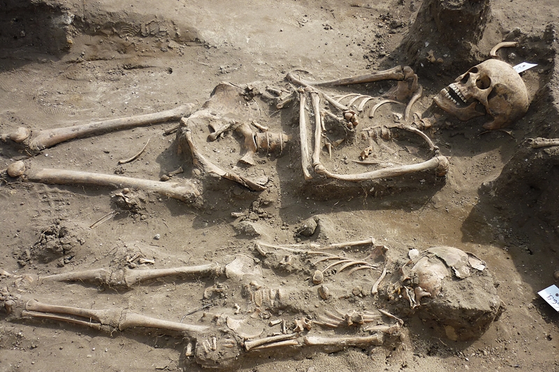 Csontvázak Tázlár határában