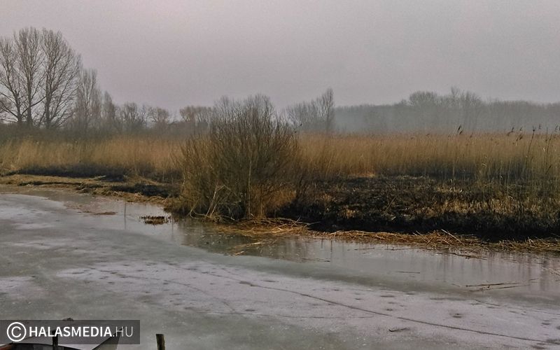 Nádégetés volt a Sóstón