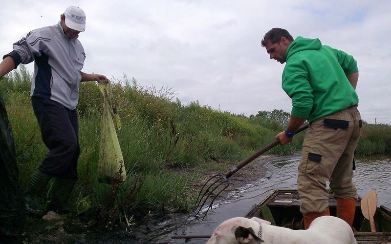 Szemétszedés a Jókain