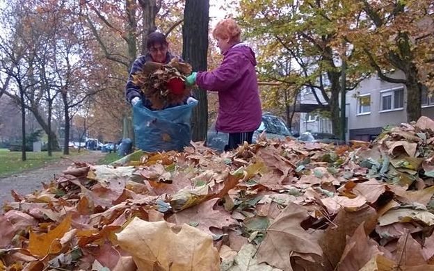 Ismét őszi avar és hulladékgyűjtés