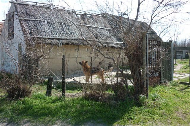 Tanyafelmérés indul