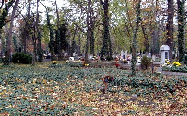 Ragadj kesztyűt és gyere!