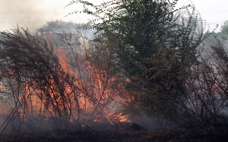 Tűzgyújtási tilalom van