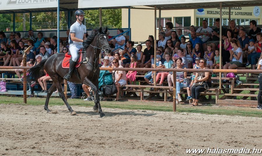 A lovasparkban programokkal várták az ünneplő halasiakat (galéria)