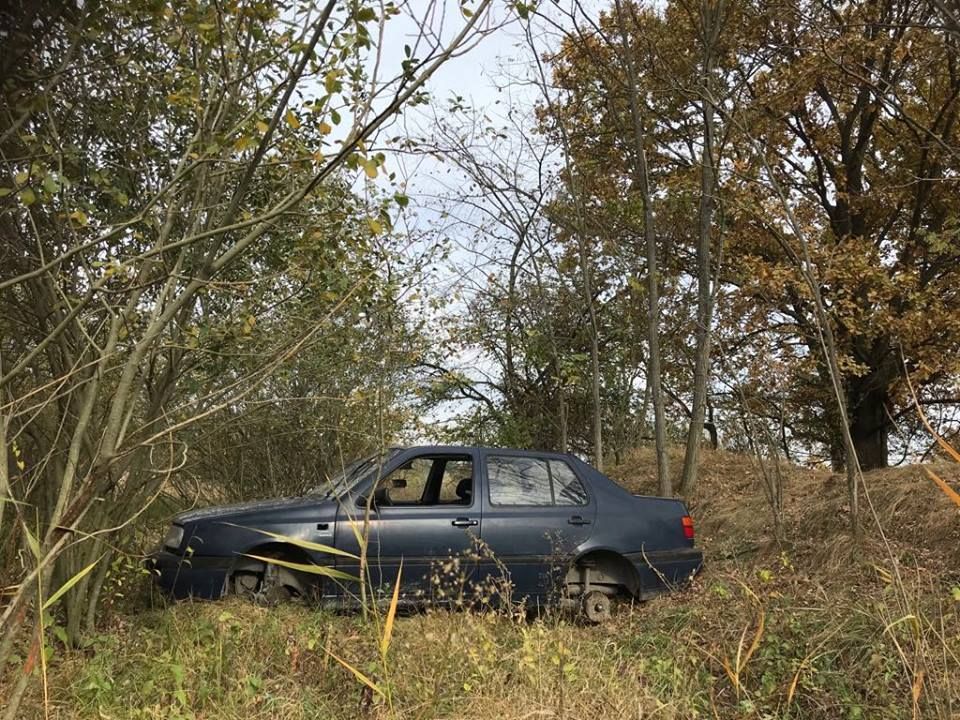 Autóroncs a parkerdőben