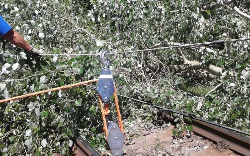 Fák dőltek a sínre