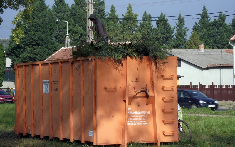 Begyűjtik a zöldhulladékot