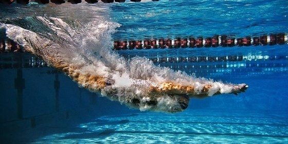 Aranyos volt az úszók télűzője