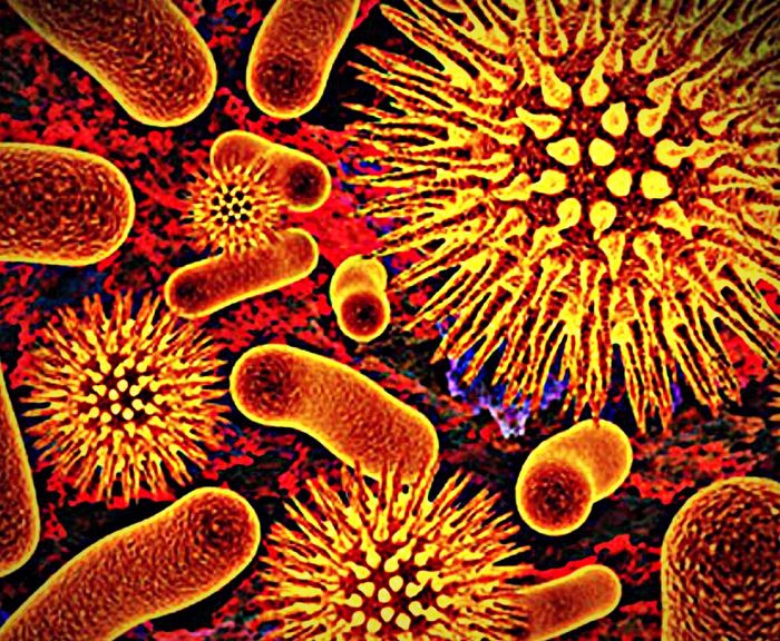 Ősi fertőzések újra