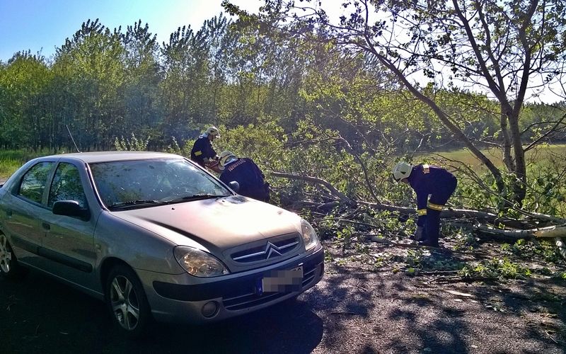 (►) Százmilliós a viharkár (frissül)