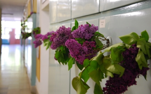 4 ballagás egy időben