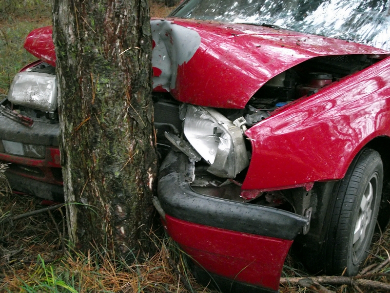 Fának hajtott az Olajosok útján