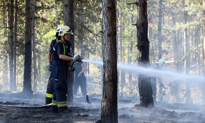 Hatalmas füst: fenyőerdőben volt tűz Balotán (galériával)
