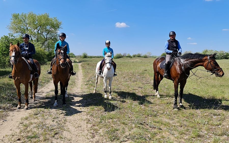 Város napi huszár határszemle