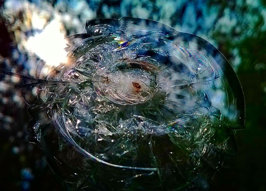 Balta landolt a bank kirakatában