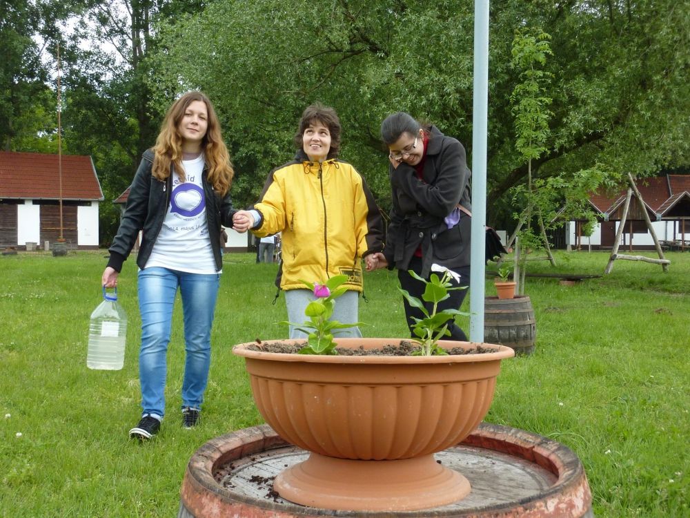 Ott ültettek, ahol más rombol