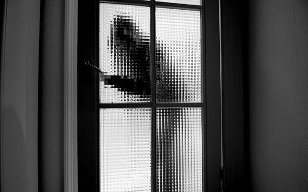 Betörőt fogott a vagyonőr