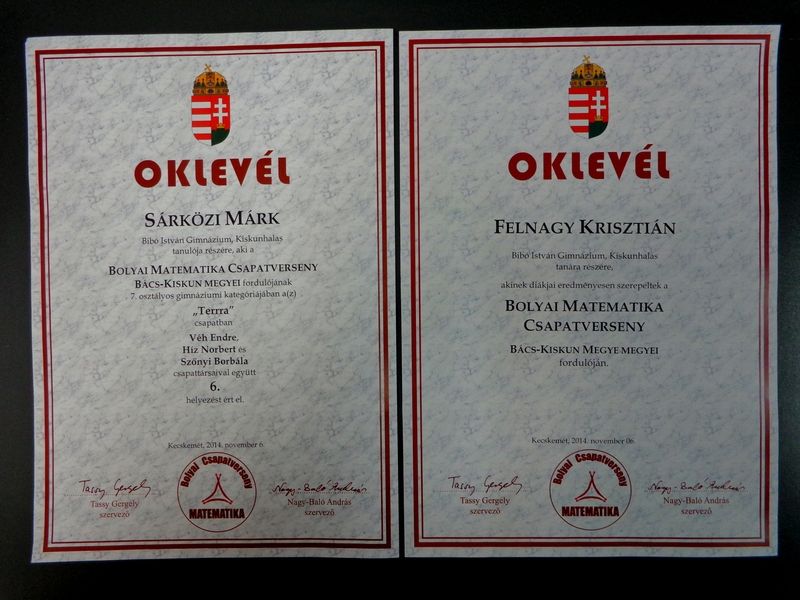 Megyei sikereket értek el a bibós matekosok