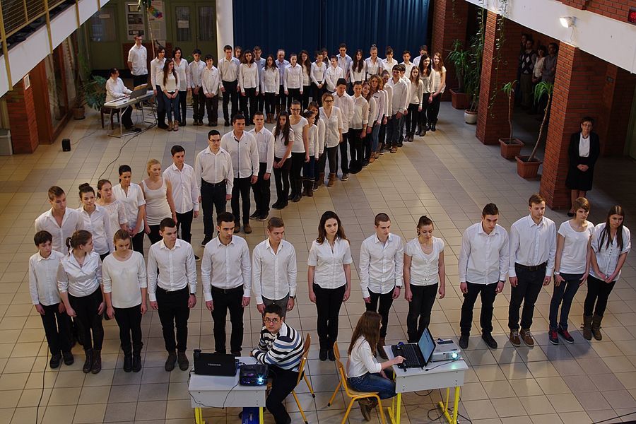 A bibósok a legkreatívabbak