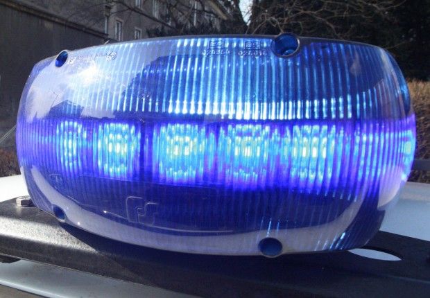 Bolti szarkát fogták