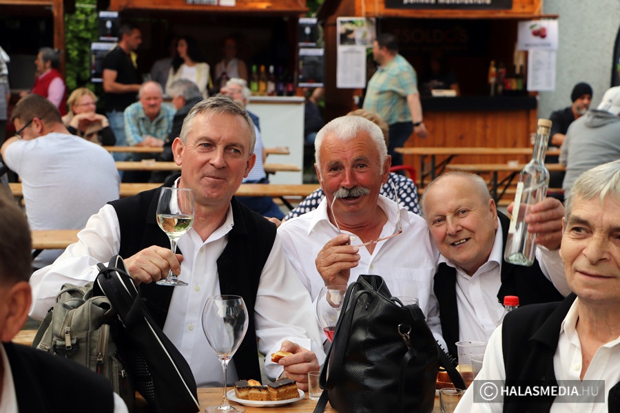 XVII. Halasi Borudvar – újratöltve (galéria)