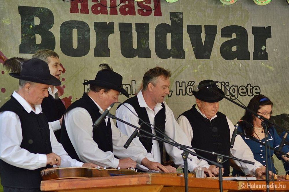 Halasi Borudvar