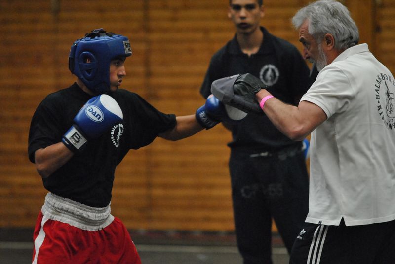 Testvérvárosi box Halason